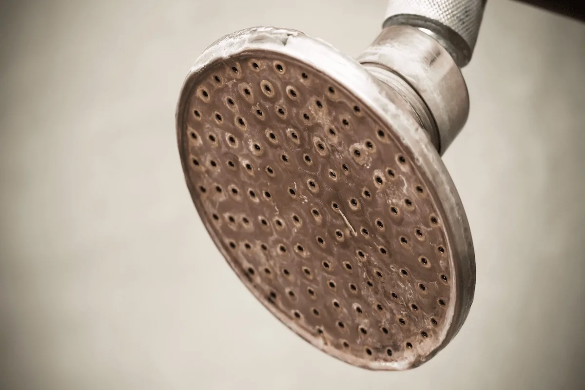rusty-showerhead-wd40